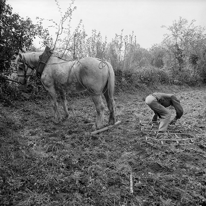 Le champ derrière la ferme