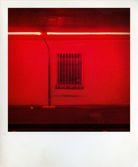 Polaroïd numérique