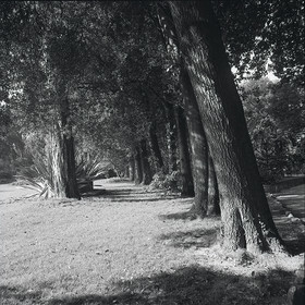NOIR & BLANC