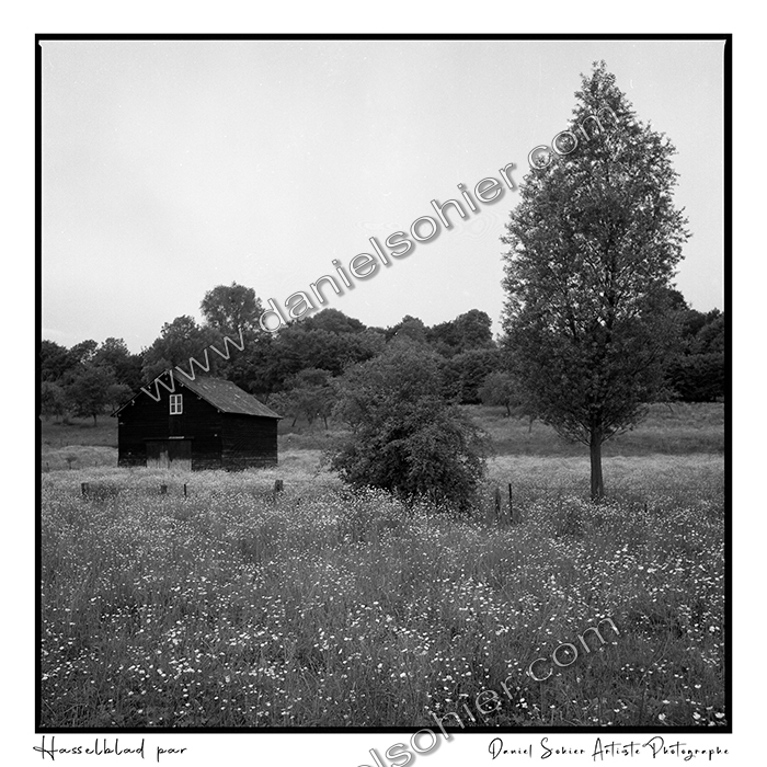 Création photographique noir et blanc argentique