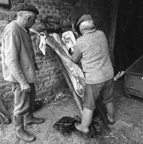 La journée du Cochon
