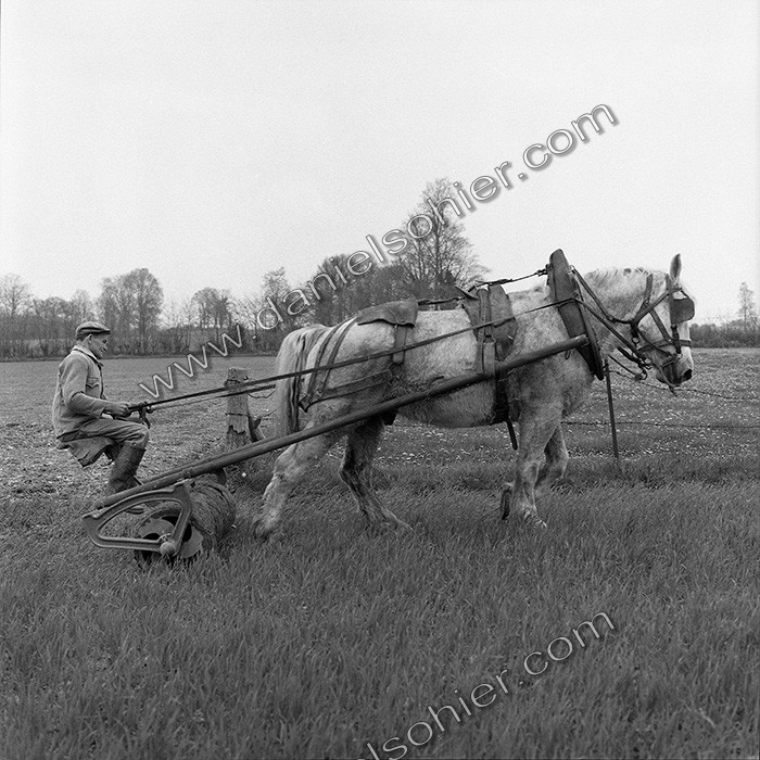 Le travail des champs