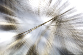 ICM Abstraction