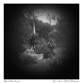 Création photographique noir et blanc argentique