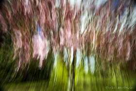 ICM Paysage