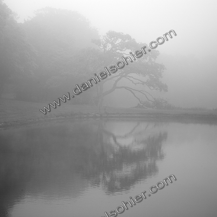 Création Noir&Blanc