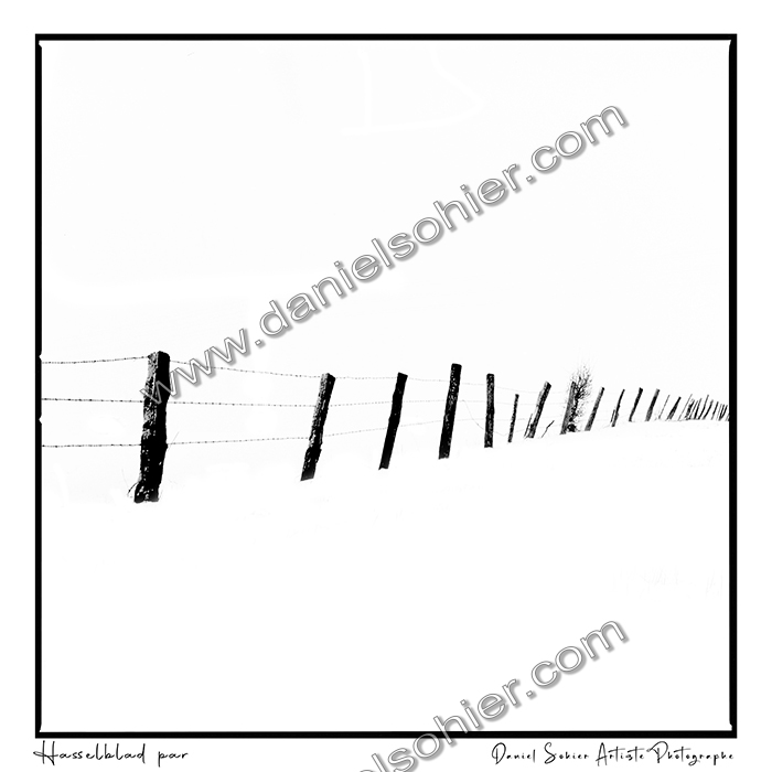 Création photographique noir et blanc argentique