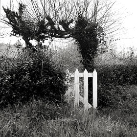 Création Noir&Blanc