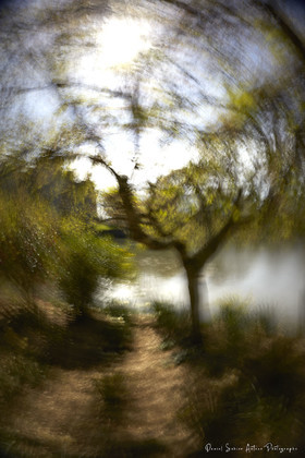 ICM Paysage