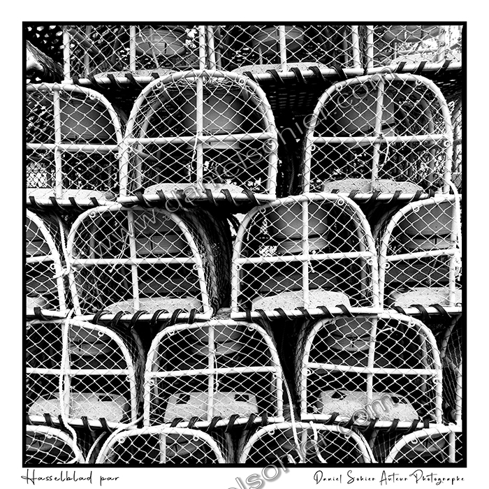 Création photographique noir et blanc argentique