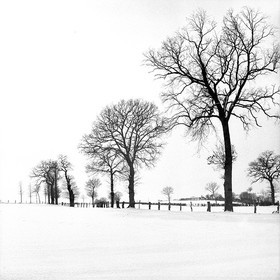 NOIR & BLANC