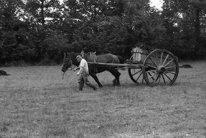 Le fumier dans l'Baniau