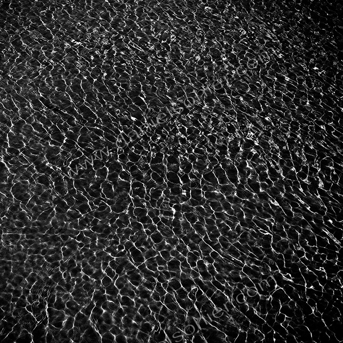 Création Noir&Blanc