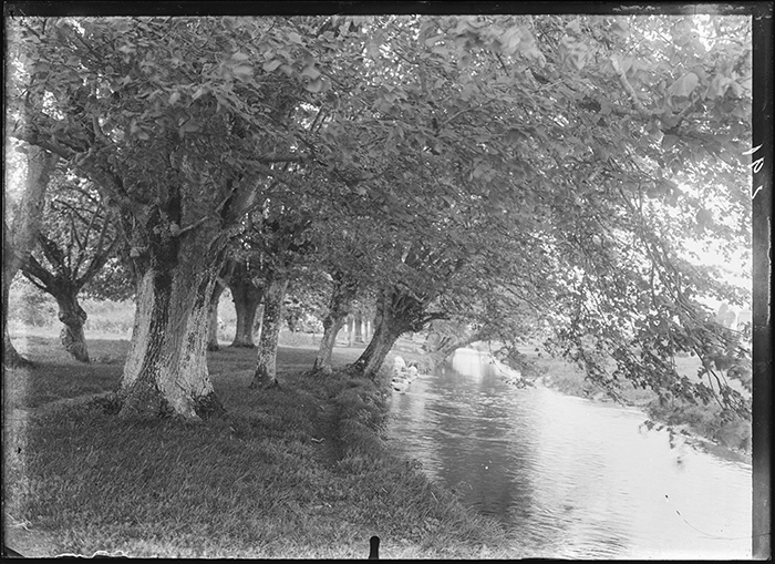 Photographie Gustave Bazire (1893-1941)