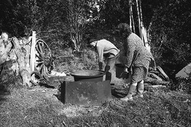 La journée du Cochon