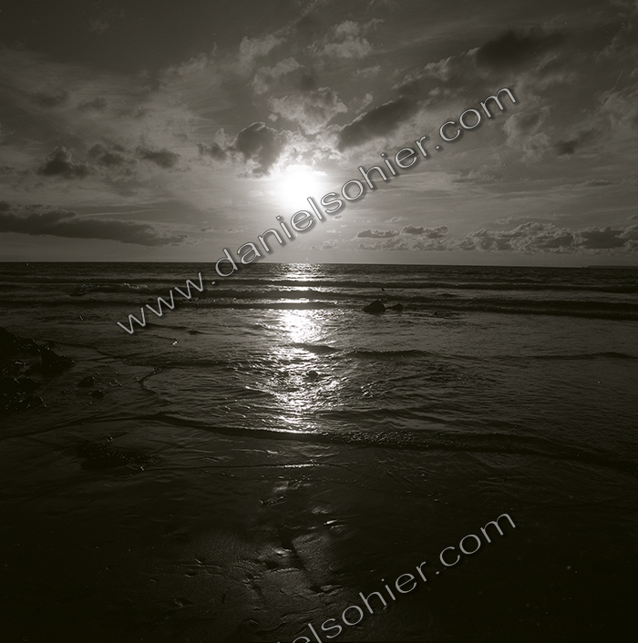 Création Noir&Blanc