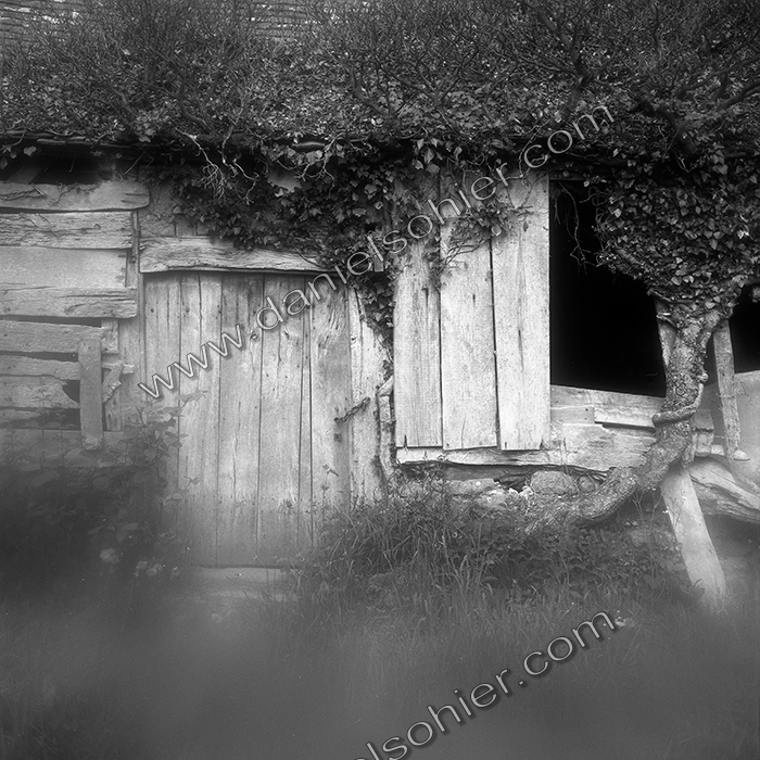 Création Noir&Blanc