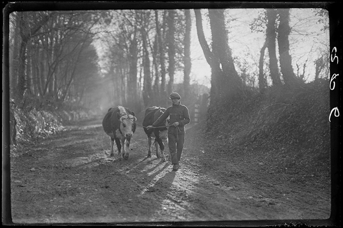 Photographie Gustave Bazire (1893-1941)
