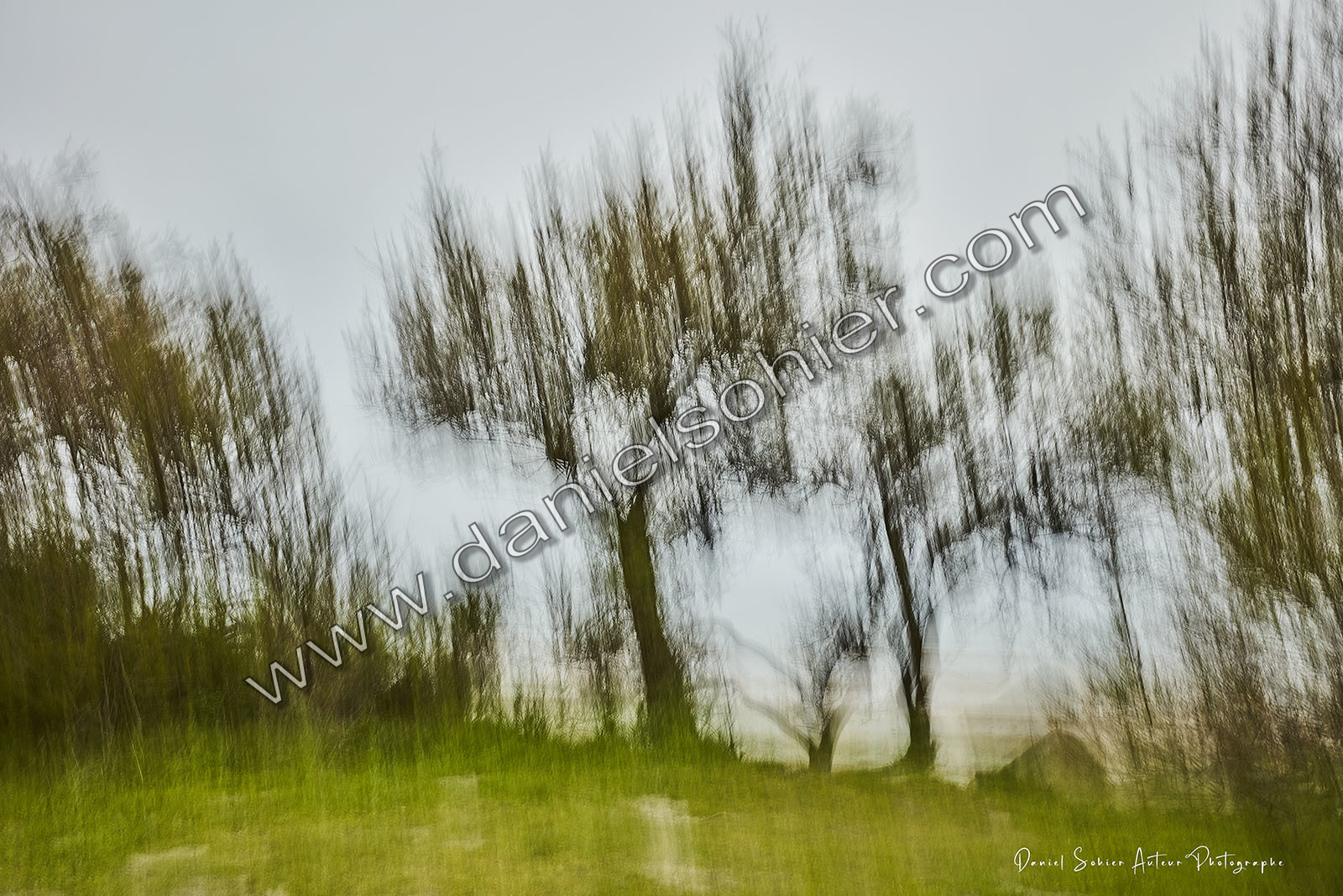 ICM Paysage