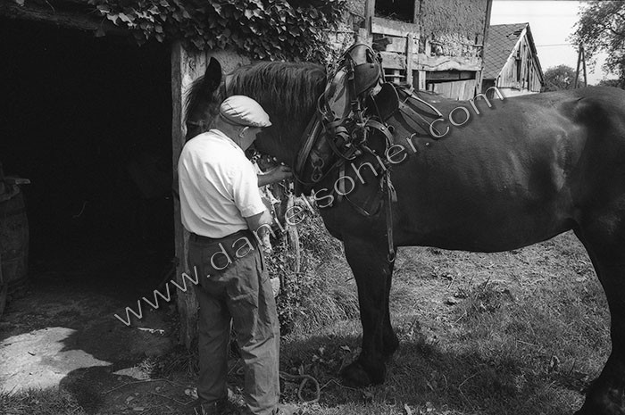 Le fumier dans l'Baniau