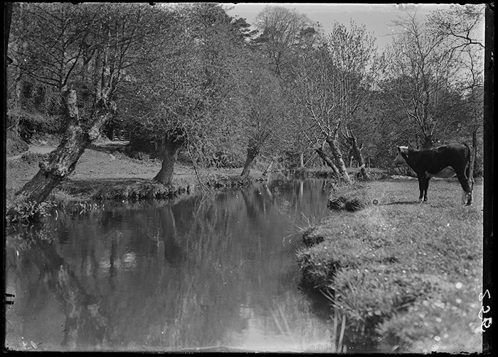 Photographie Gustave Bazire (1893-1941)