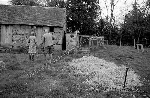 La journée du Cochon