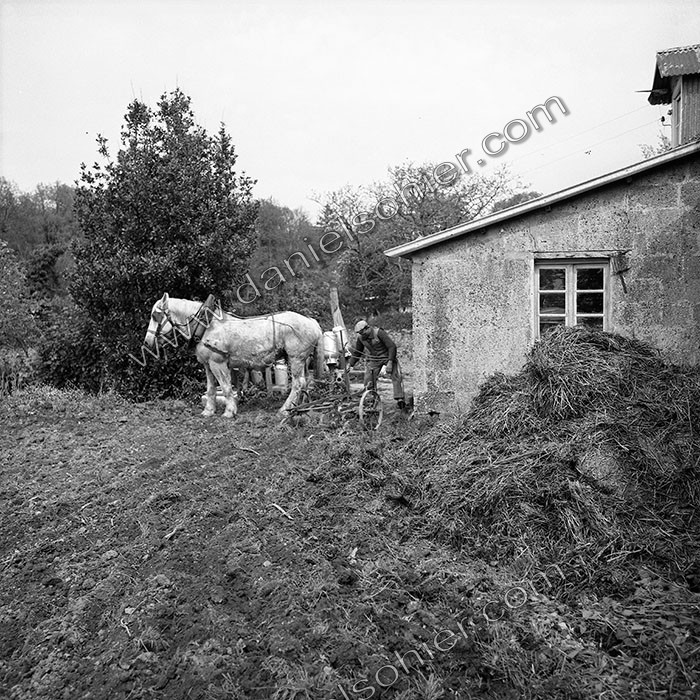 Le champ derrière la ferme