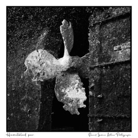 Création photographique noir et blanc argentique