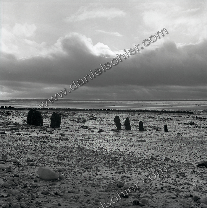 Création Noir&Blanc