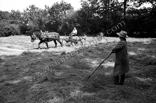 Reportage sur les foins