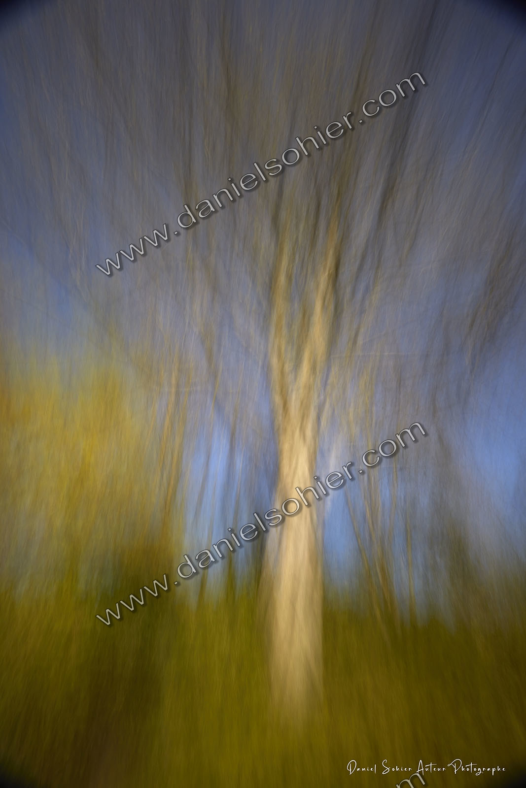 ICM Paysage