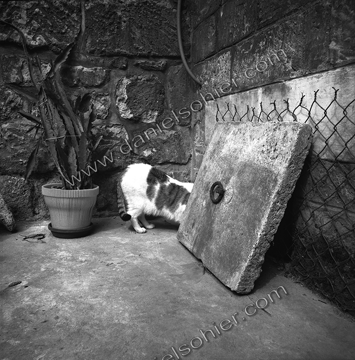 Création Noir&Blanc