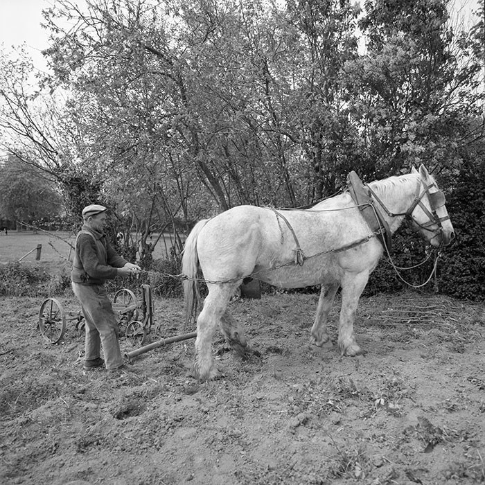 Le champ derrière la ferme