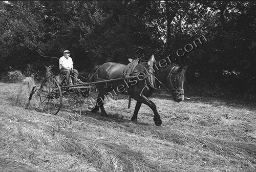 Reportage sur les foins