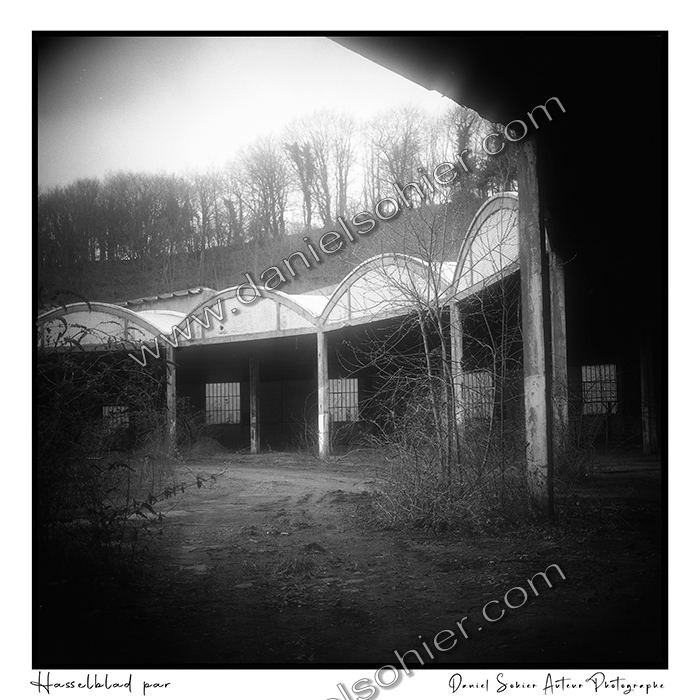 Création photographique noir et blanc argentique