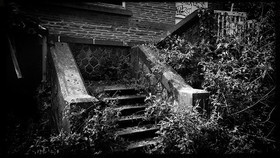 Site Simon Freres