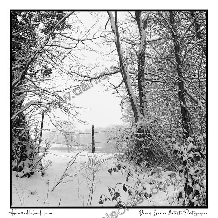 Création photographique noir et blanc argentique