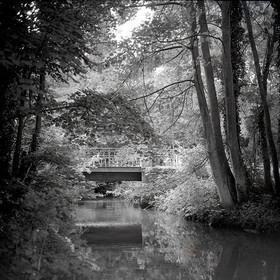 Création Noir&Blanc