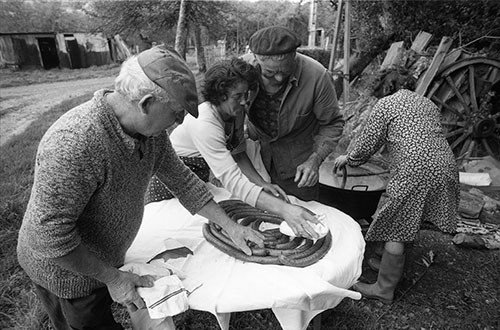 La journée du Cochon