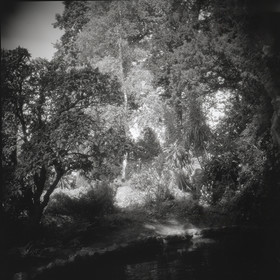 LE PARC - JARDIN FAVIER - Cherbourg en Cotentin - Manche - France 1986 - Hasselblad 6x6 argentique Photographie N° JF 08