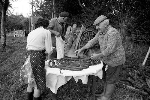 La journée du Cochon