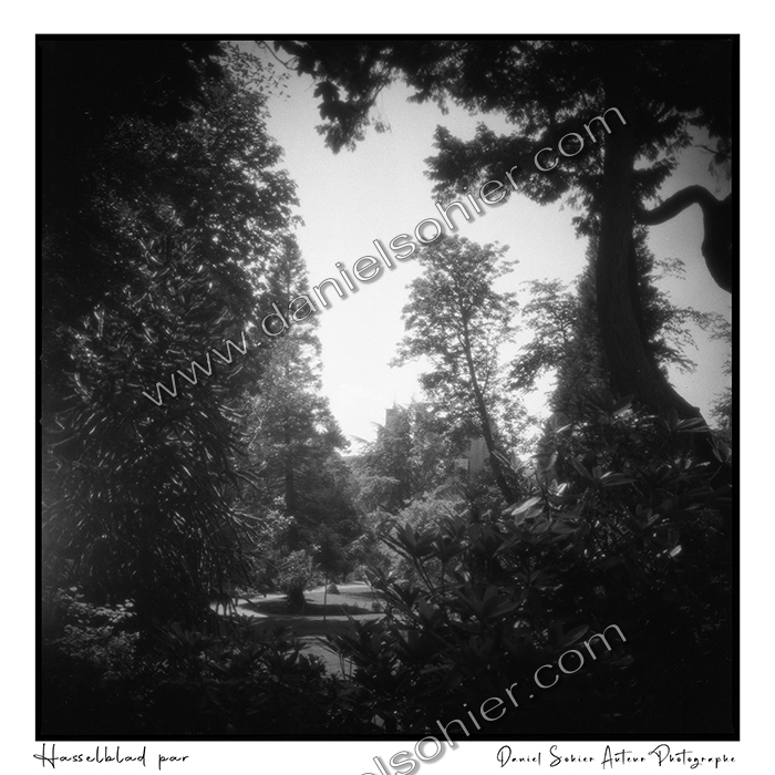 Création photographique noir et blanc argentique