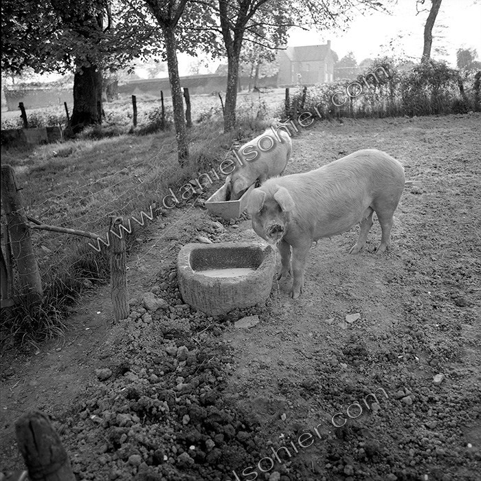 Reportage argentique