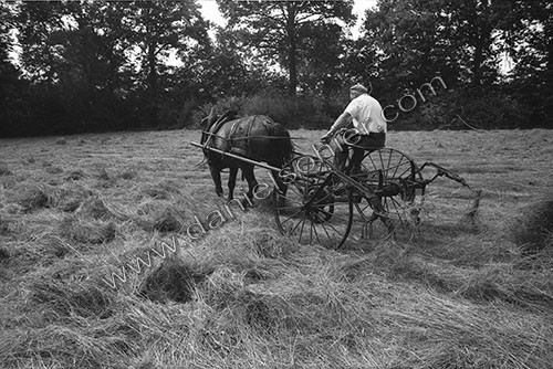 Reportage sur les foins