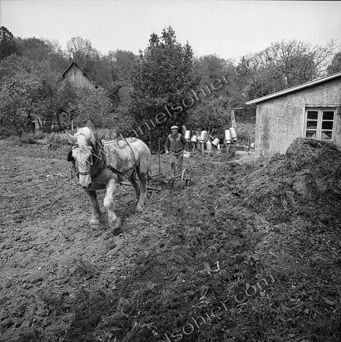Le champ derrière la ferme