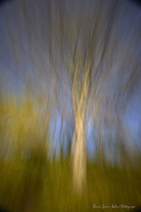 ICM Paysage