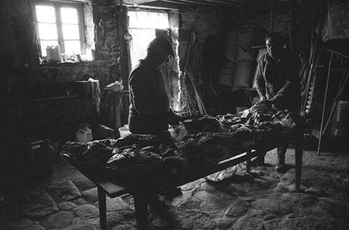 La journée du Cochon