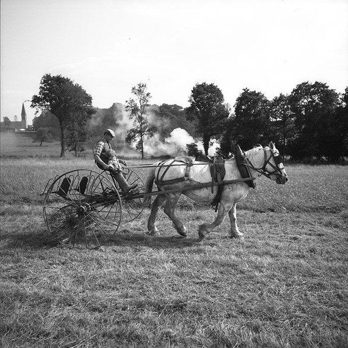 Le travail des champs
