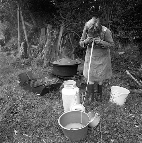La journée du Cochon