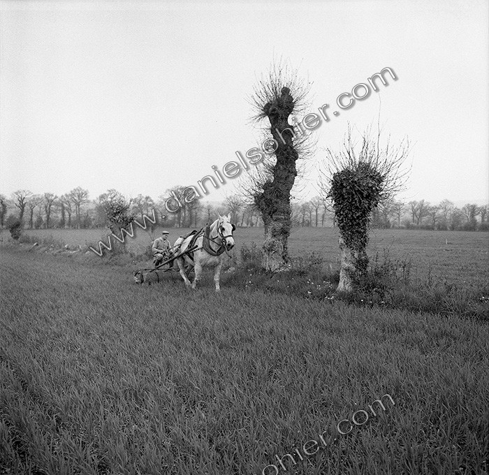 Le travail des champs